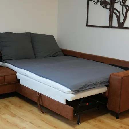 Lejlighed Grosse Mit Xxl-balkon In Mitte