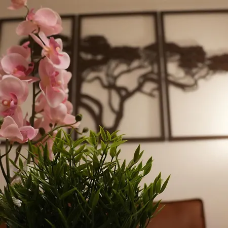 Lejlighed Grosse Mit Xxl-balkon In Mitte Schwerin (Mecklenburg-Vorpommern)