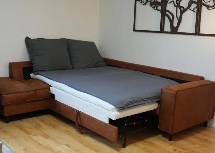 Apartment Große Mit Xxl-balkon In Mitte